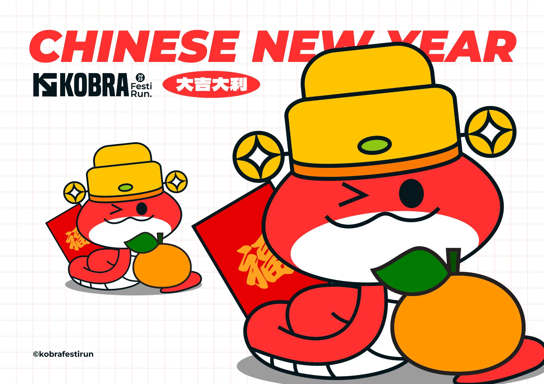 Kobra Festive Run — plate 20